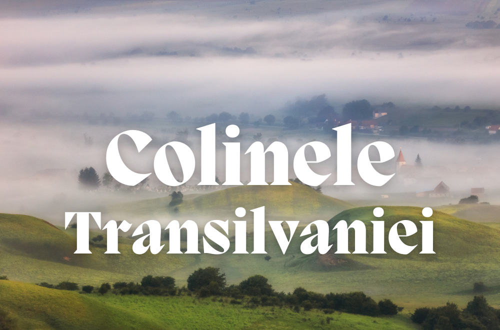 Colinele Transilvaniei, cea mai mare arie protejată din Transilvania